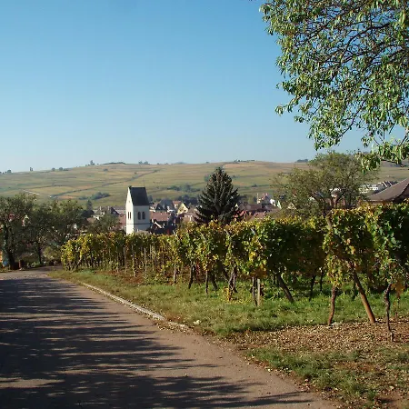 Gites Au Domaine Greiner Mittelwihr Buitenkant foto