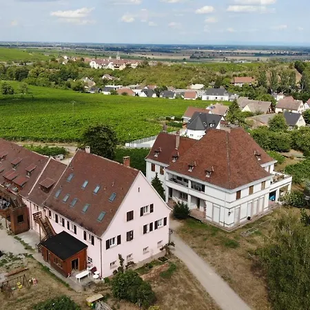 Gites Au Domaine Greiner Mittelwihr Buitenkant foto