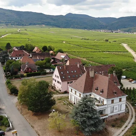 Gites Au Domaine Greiner Mittelwihr Buitenkant foto