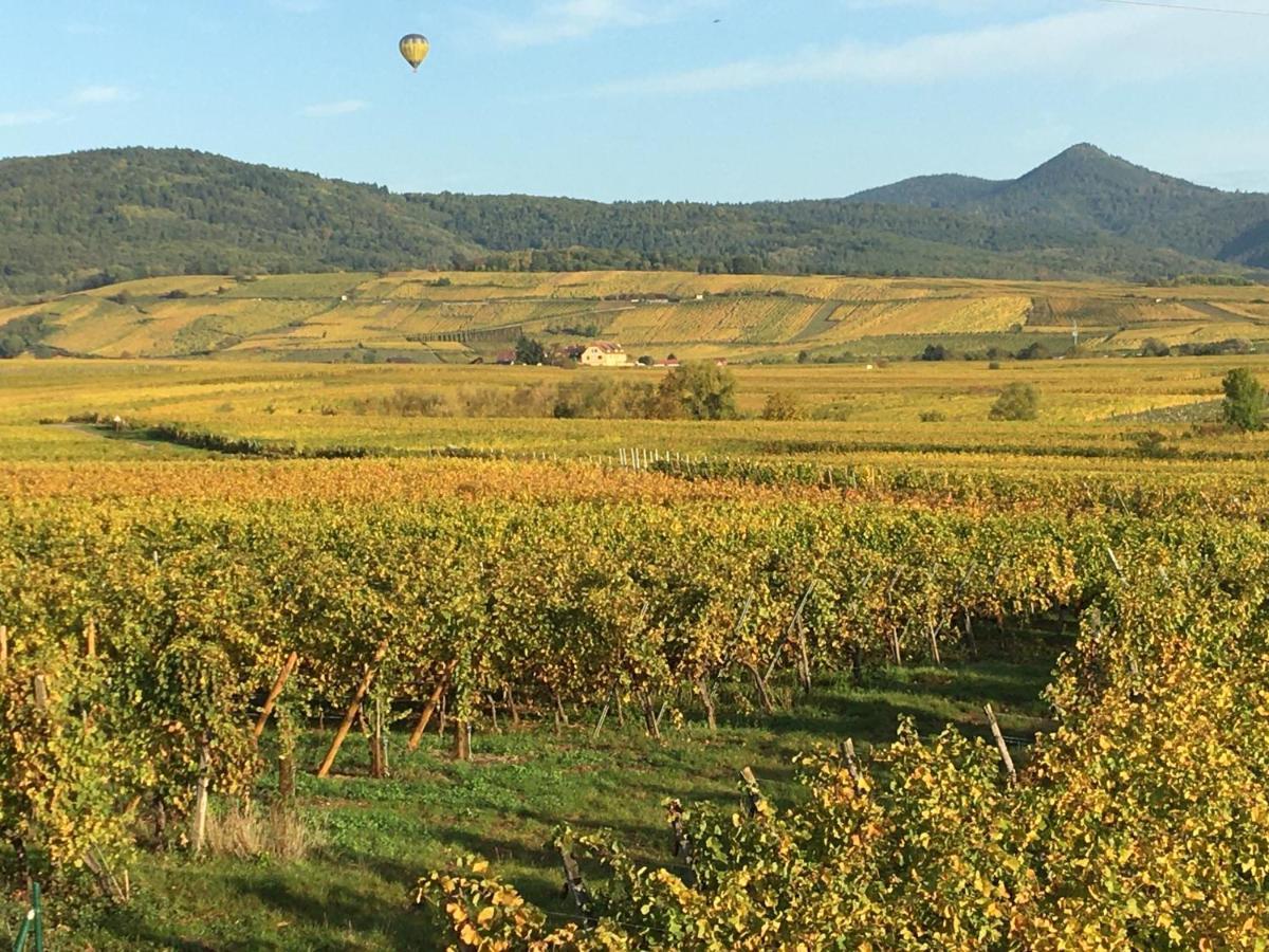 Au Domaine Greiner Holiday home Mittelwihr