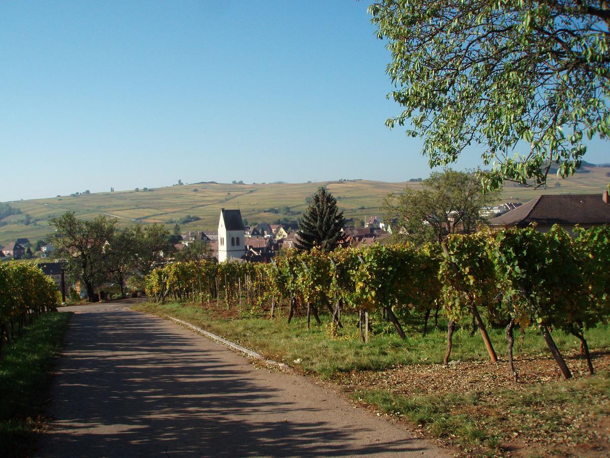 Au Domaine Greiner Casa de Férias Mittelwihr