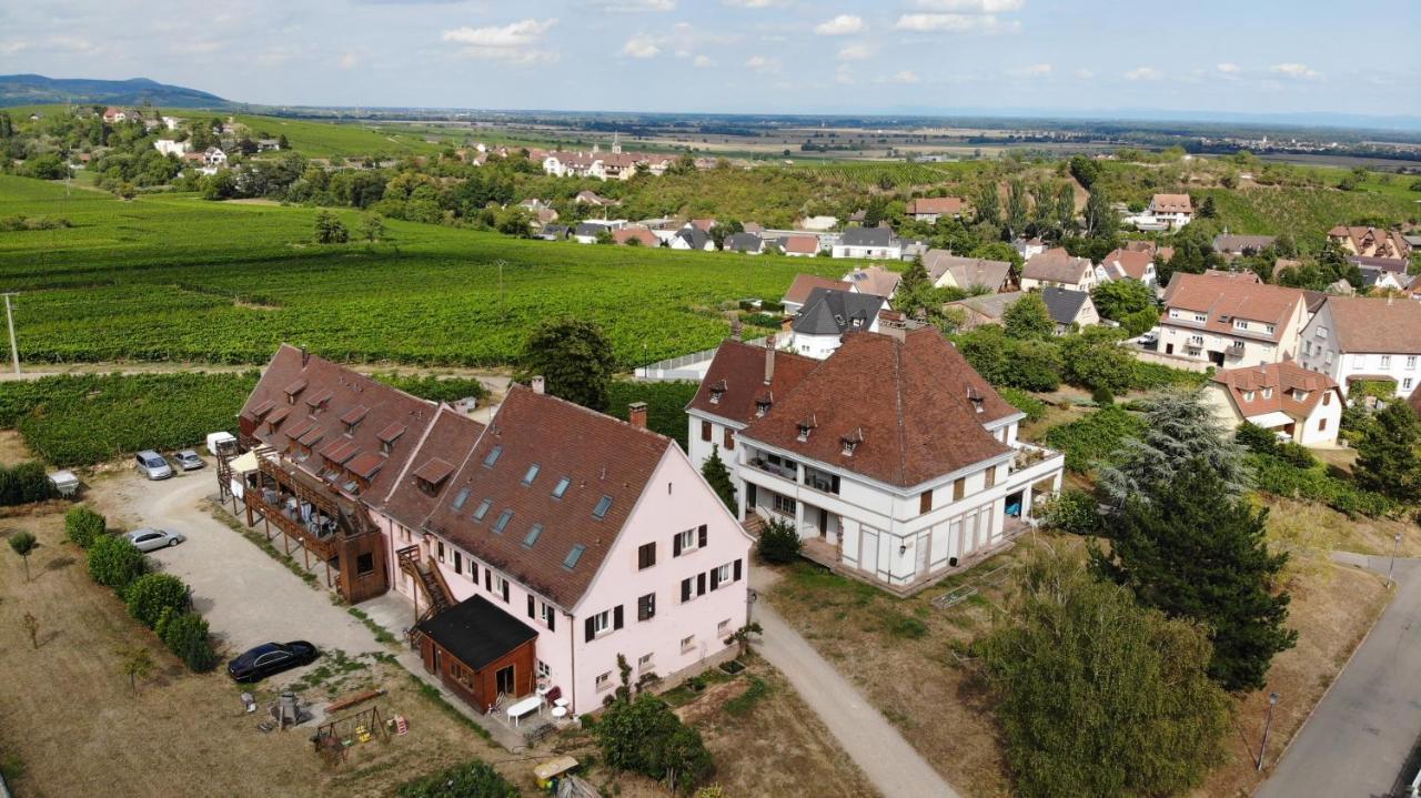 Au Domaine Greiner * Mittelwihr